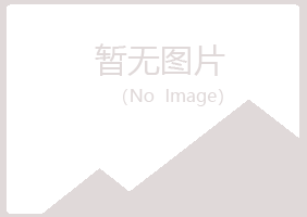 黎川县沛文工程有限公司